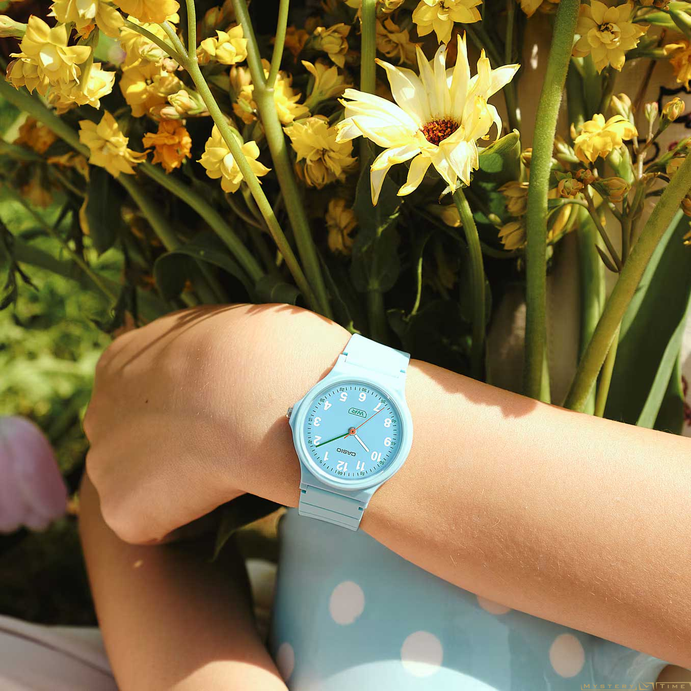 Casio LQ-24B-2B
